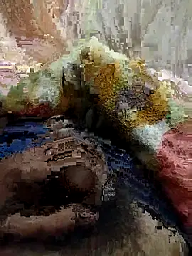 Snapshot of soni8850 chatting on 02/15/26, 04:03 soni8850 online show from 02/15/26, 04:03