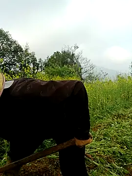 nelina 12345 online show from 03/26/26, 01:44