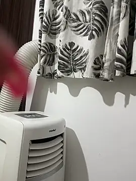 safadinhaputinha69 online show from 02/24/26, 10:52