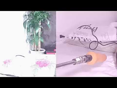 Carol Swet online show from 04/17/26, 11:02