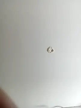 Snapshot of ladyyhardcore chatting on 02/19/26, 12:50 ladyyhardcore online show from 02/19/26, 12:50