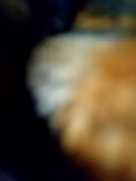 Avinh 09 online show from 02/15/26, 05:20