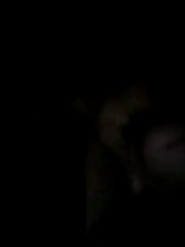 Egypt1000 online show from 03/27/26, 03:34