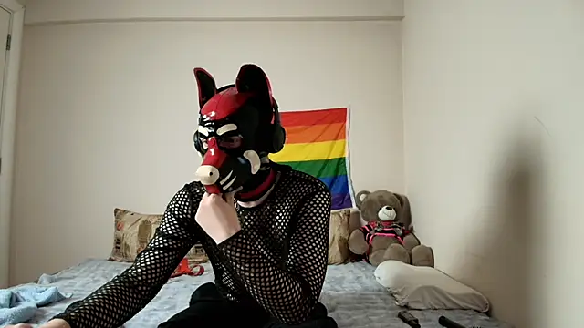 K9 GoodBoy online show from 04/09/26, 05:51