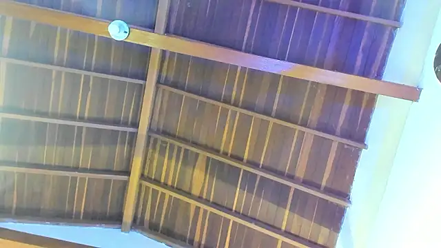 TonyPetrovjs online show from 02/26/26, 05:50