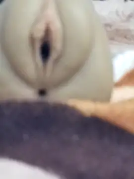 Mikecrazyhy online show from 02/25/26, 03:16