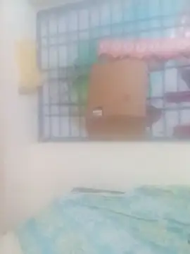 keerthy telugu online show from 03/12/26, 04:24