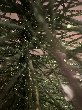 sexysou online show from 04/15/26, 11:50