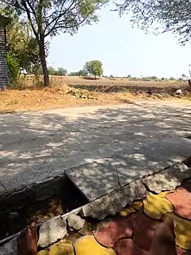 Fantasy King 3939 online show from 03/13/26, 08:43