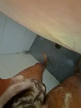 Edu235 online show from 03/29/26, 02:50