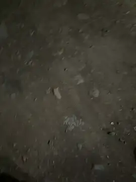 parth73637 online show from 02/23/26, 02:47