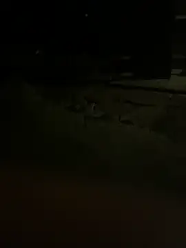 princessandthefootjob online show from 03/31/26, 04:35