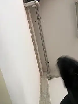 Stickmendez online show from 03/12/26, 04:57