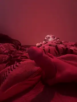 689Nika online show from 04/07/26, 01:11