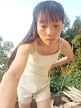 pic8800 online show from 05/16/26, 10:36
