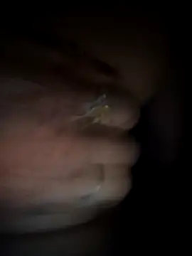 Rashmika Mandana online show from 03/18/26, 06:55