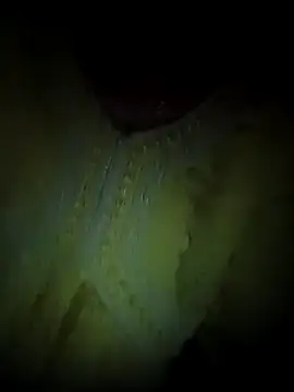 Rashmika Mandana online show from 04/08/26, 07:03