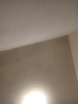 priscilaf online show from 04/07/26, 09:43