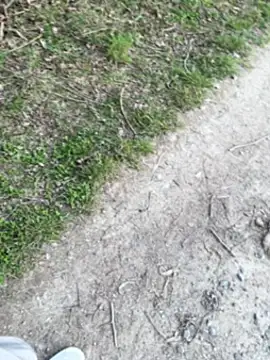 aras  25 online show from 03/09/26, 02:43