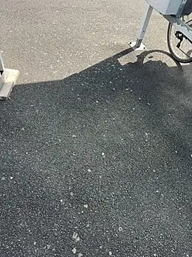 Snapshot of portostrip chatting on 04/14/26, 01:39 portostrip online show from 04/14/26, 01:39