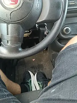 UrsoBissexualPauGrosso online show from 03/01/26, 08:44