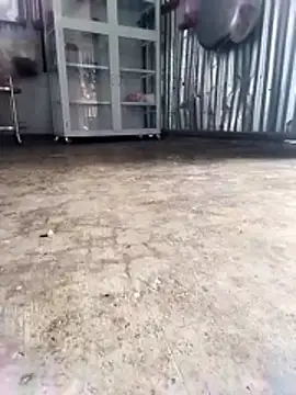 Malisa-aa online show from 03/11/26, 12:05