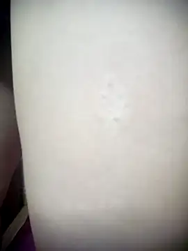 Meow cute online show from 04/15/26, 08:10