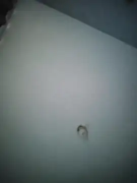 misteriosocam40 online show from 04/09/26, 05:40