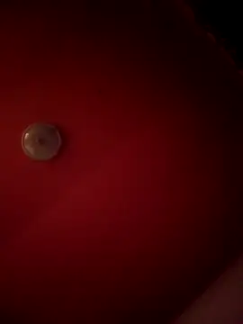 alexandruElena online show from 02/28/26, 06:20