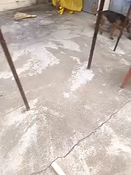 mylove202022 online show from 03/15/26, 02:06