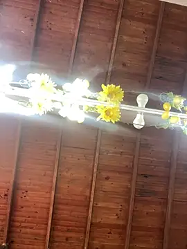 LiaTrainor online show from 04/14/26, 07:09