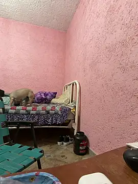 deivchoky online show from 04/14/26, 01:00