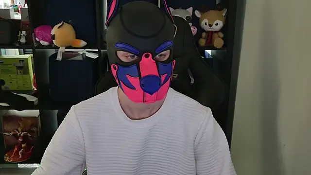 MellPUP online show from 04/08/26, 09:04