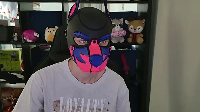 MellPUP online show from 04/10/26, 08:57