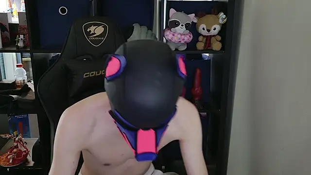 MellPUP online show from 04/22/26, 04:52