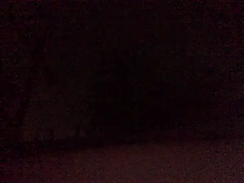 Donkie909 online show from 04/09/26, 06:52