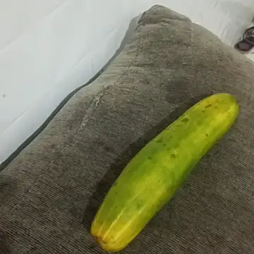 puta casada online show from 03/07/26, 03:03