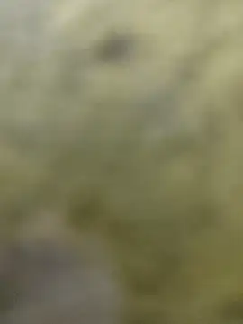 clayto77 online show from 03/06/26, 12:07