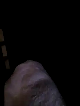 transrandi69 online show from 03/08/26, 12:19