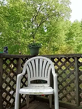 Fastrunner10 online show from 04/11/26, 09:19