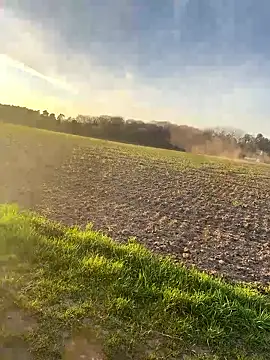 SoftAmjad online show from 04/08/26, 05:46