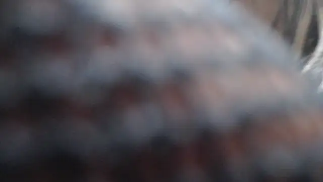 Britanylovee online show from 03/27/26, 02:50