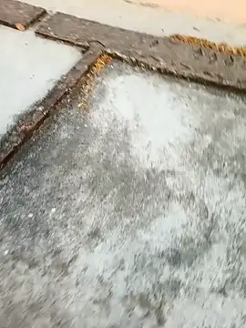 Snapshot of Desii_rockstarr chatting on 03/11/26, 01:11 Desii rockstarr online show from 03/11/26, 01:11