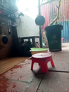 Leylin 1 online show from 03/23/26, 06:06