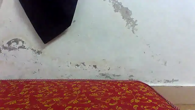 Nhlax22 online show from 04/04/26, 04:00