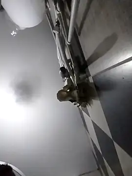 luys23 online show from 04/04/26, 03:05