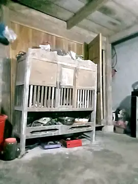 hasaki001 online show from 03/27/26, 10:20