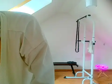 NinjaLaser online show from 04/13/26, 11:27