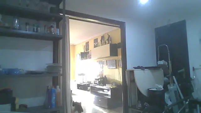 anastasia-evans online show from 04/03/26, 05:55