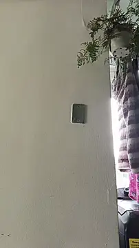 La-venus online show from 04/13/26, 02:00